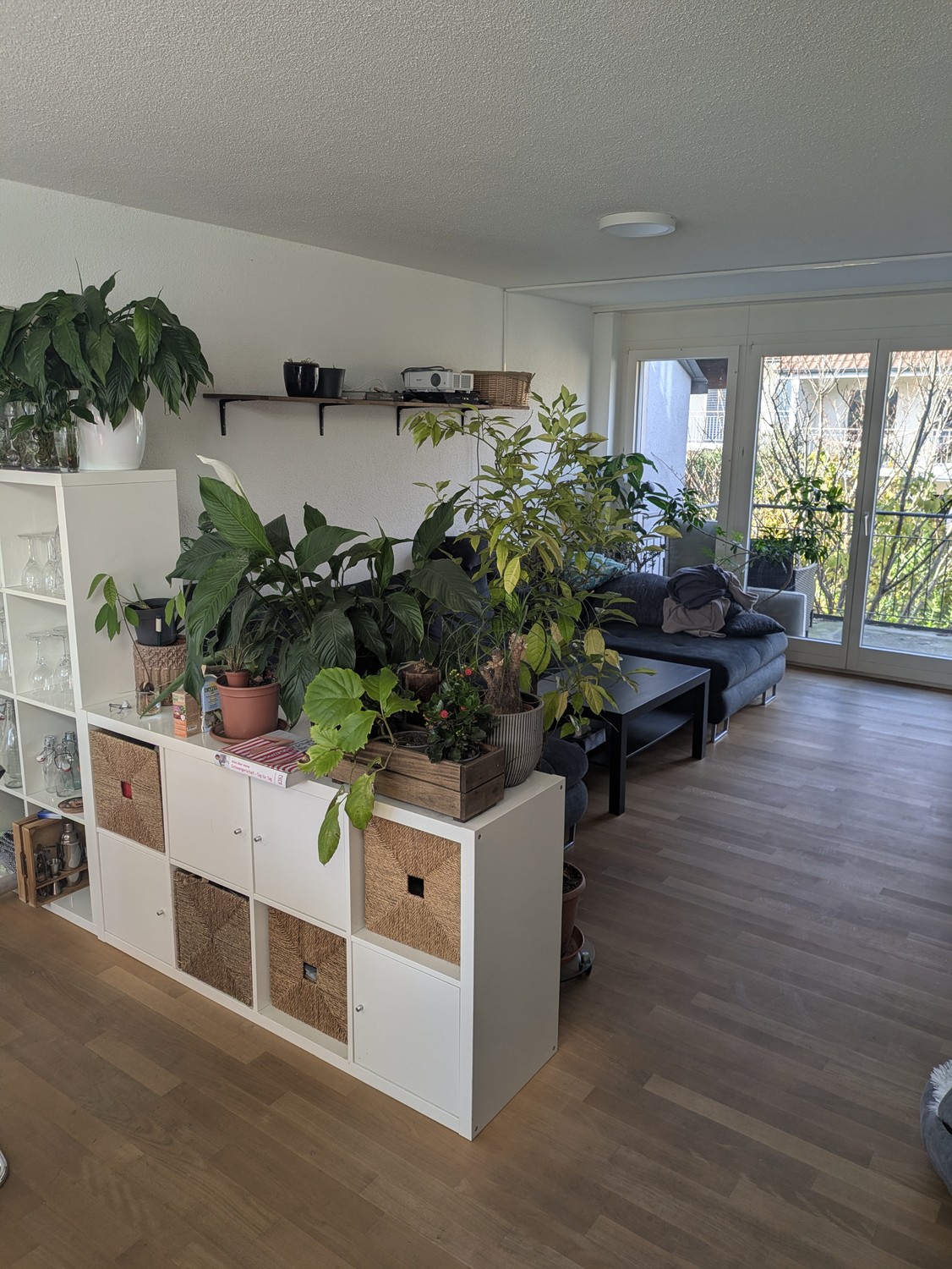 Chambre en colocation
