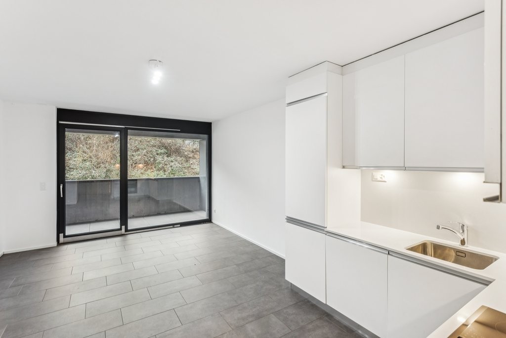 Appartement de 1 ½ pièces