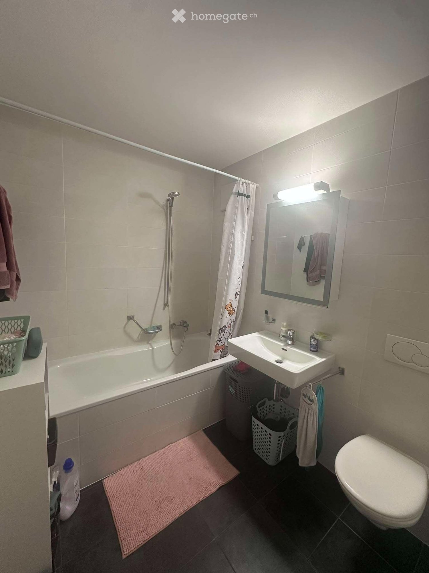 3 ½ Zimmer Wohnung