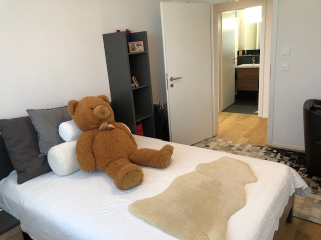 Room in a shared flat