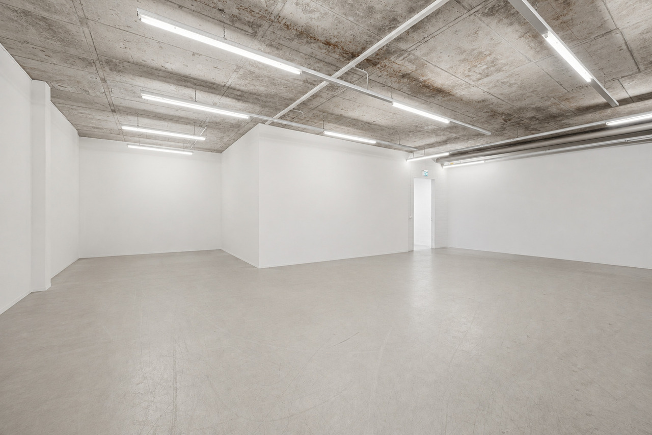 253m² commerciale