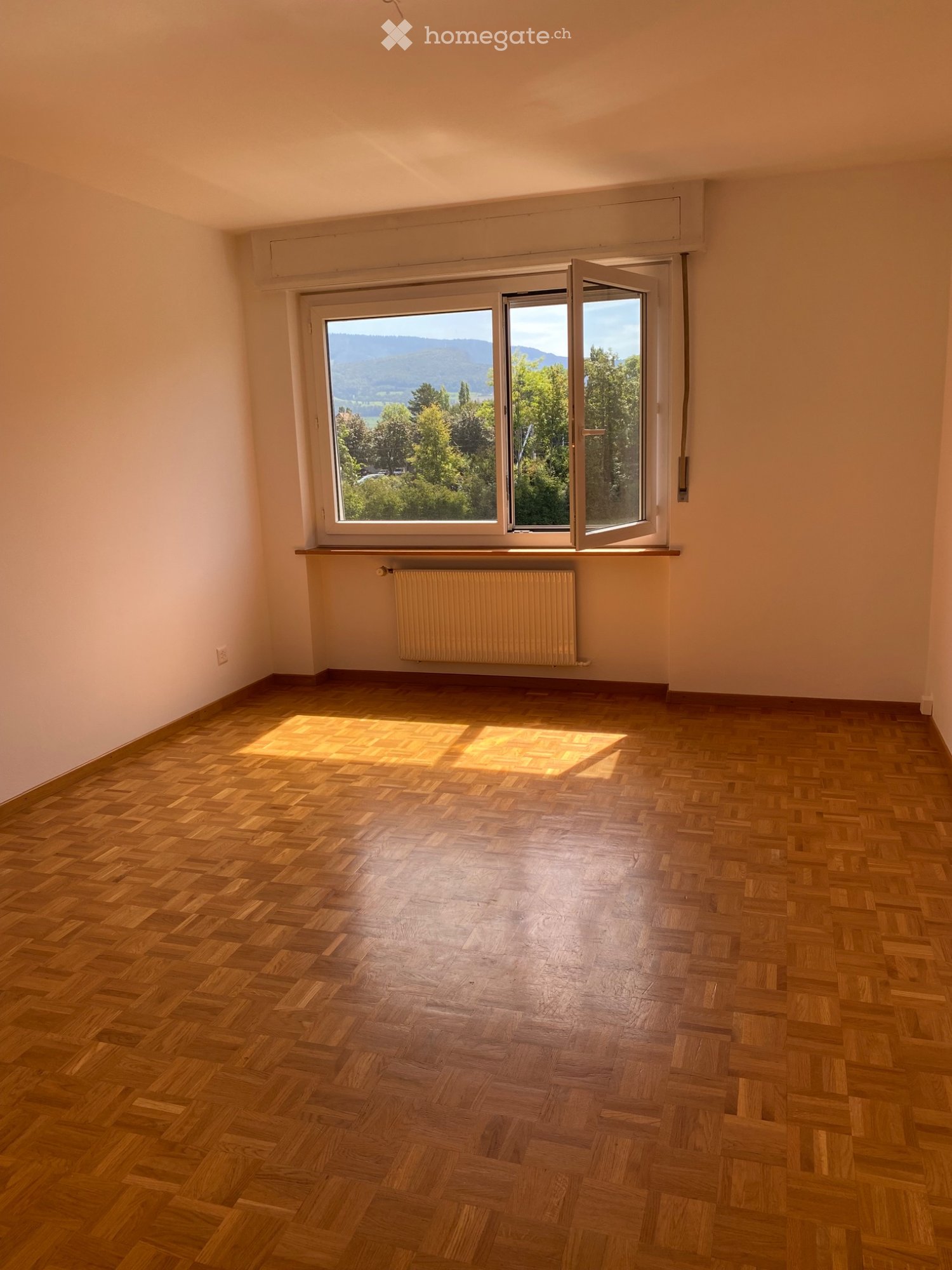 3 ½ Zimmer-Wohnung