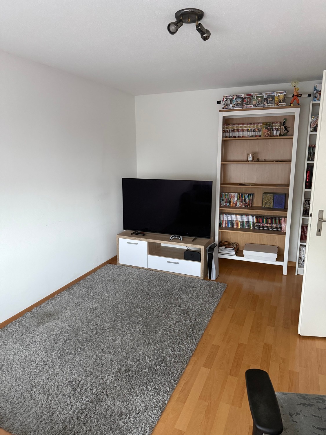 Appartamento di 2 ½ locali