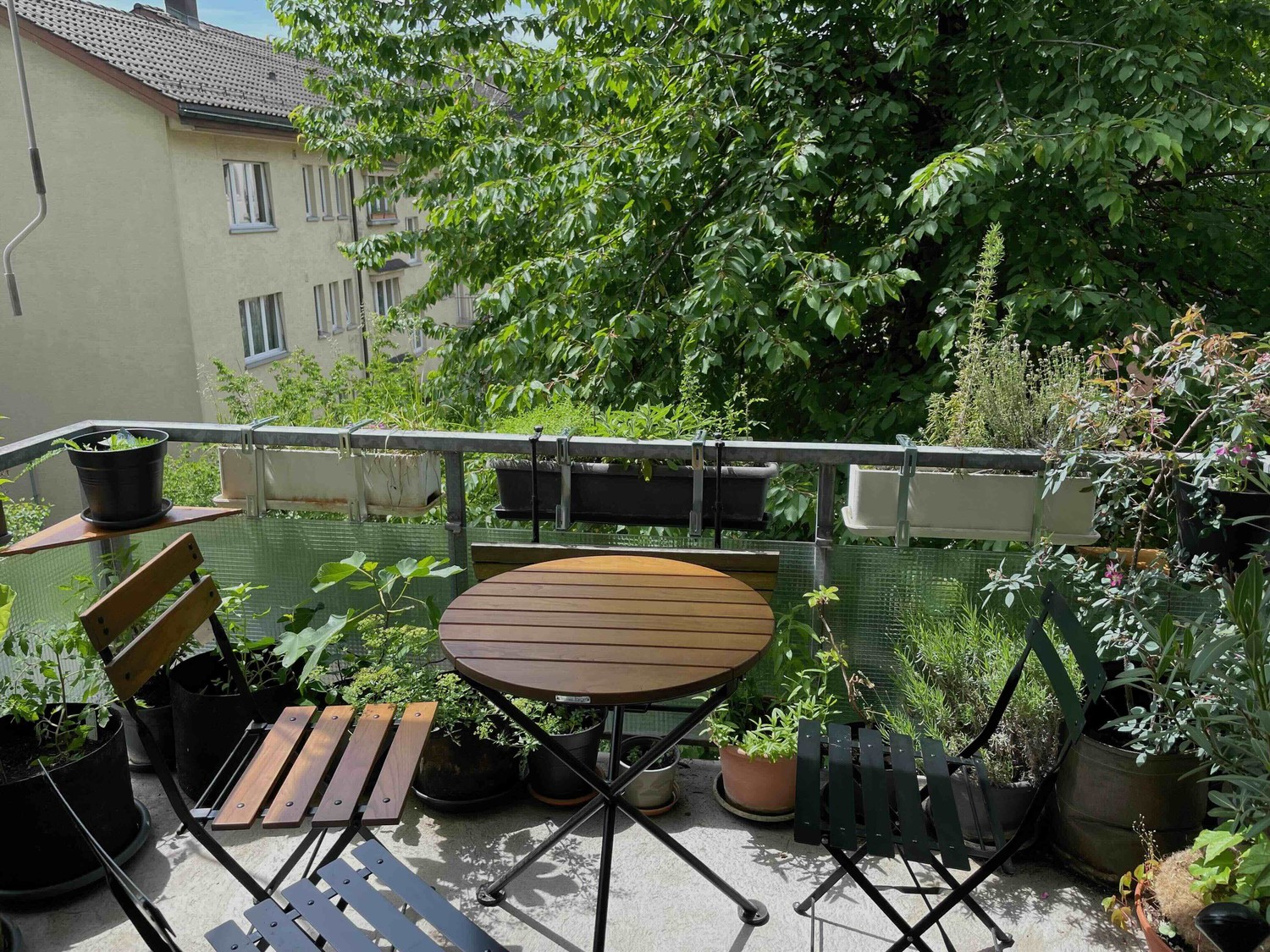 3 ½ Zimmer Wohnung