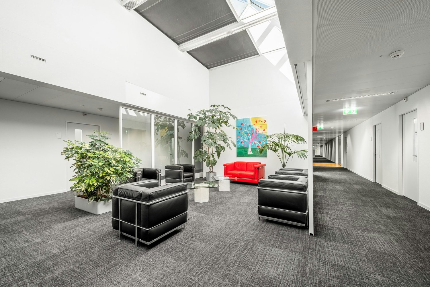 340m² ufficio