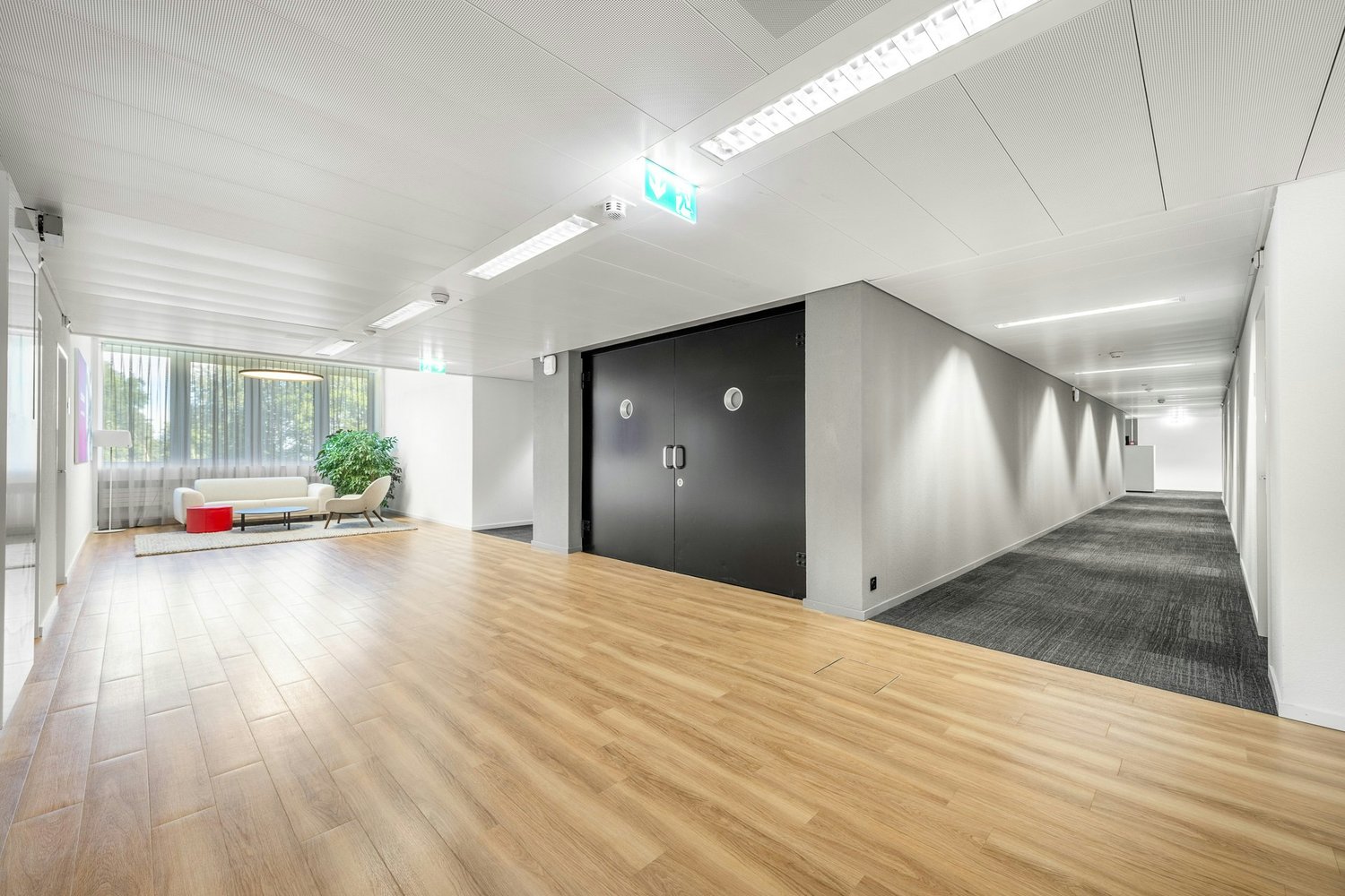 340m² ufficio