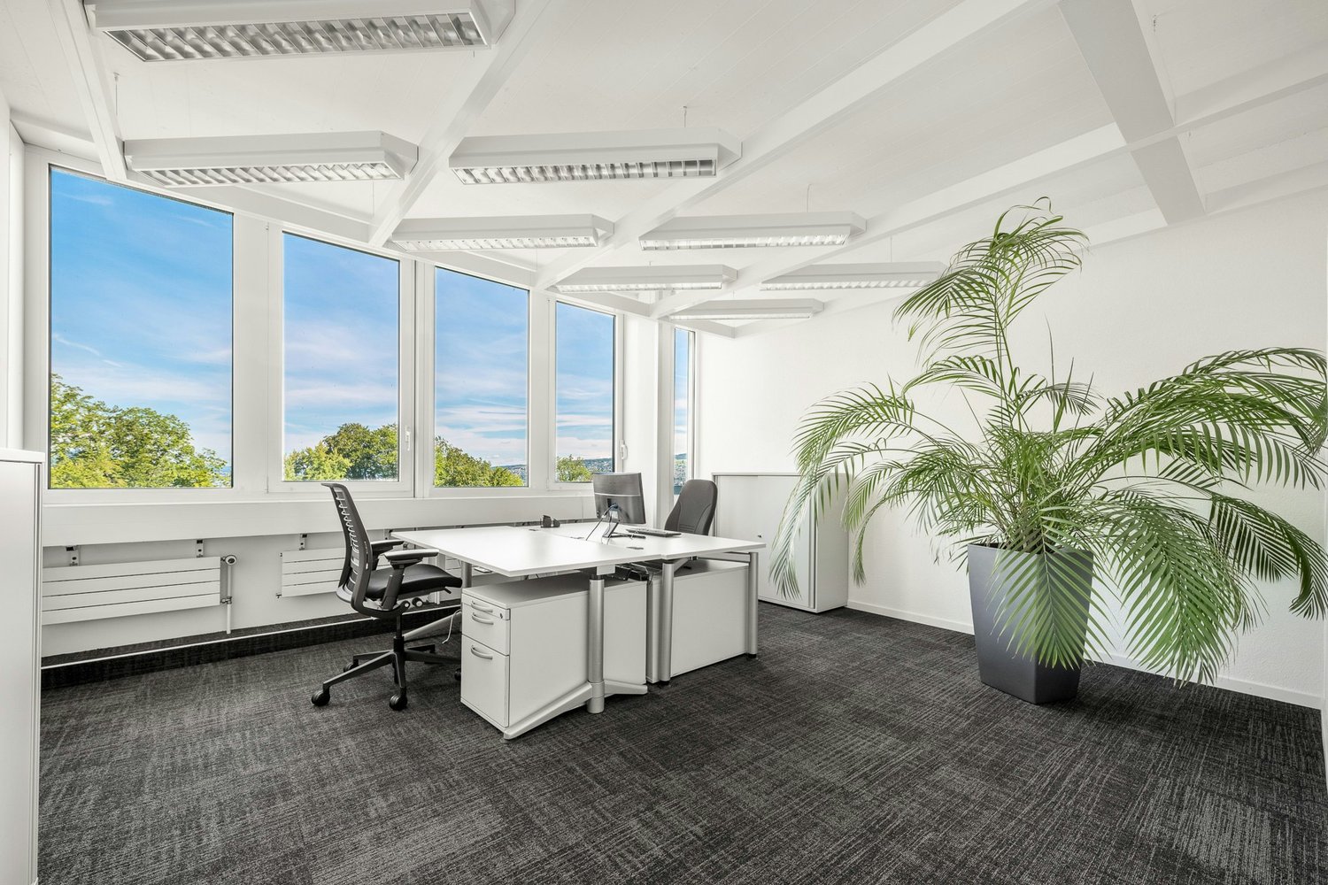 340m² ufficio
