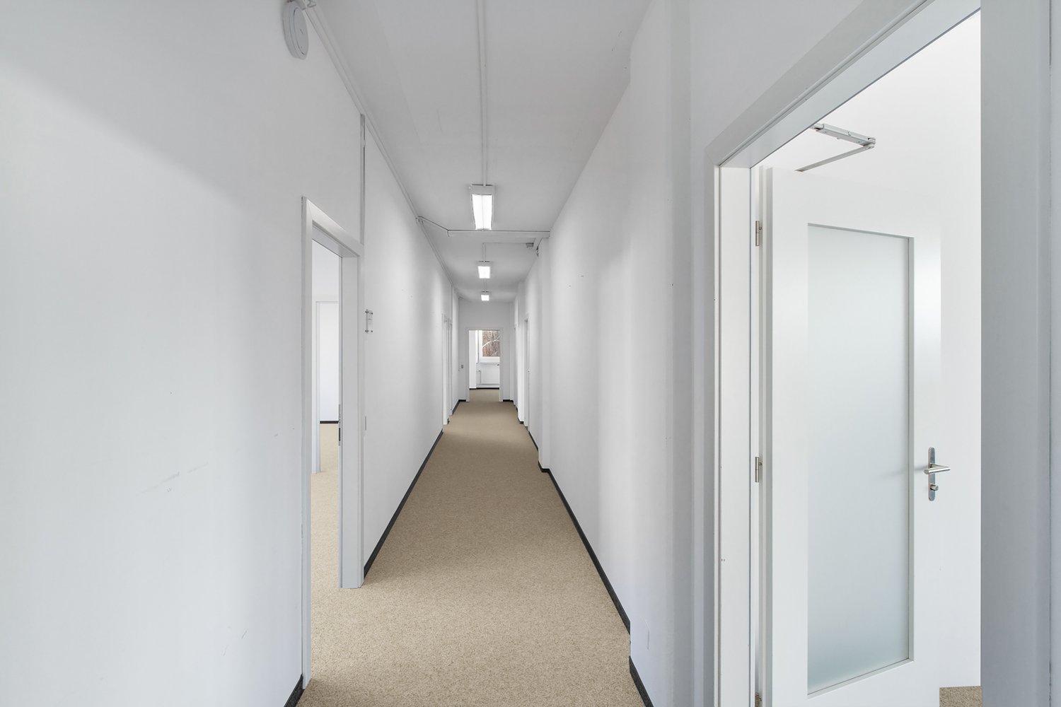 462m² office