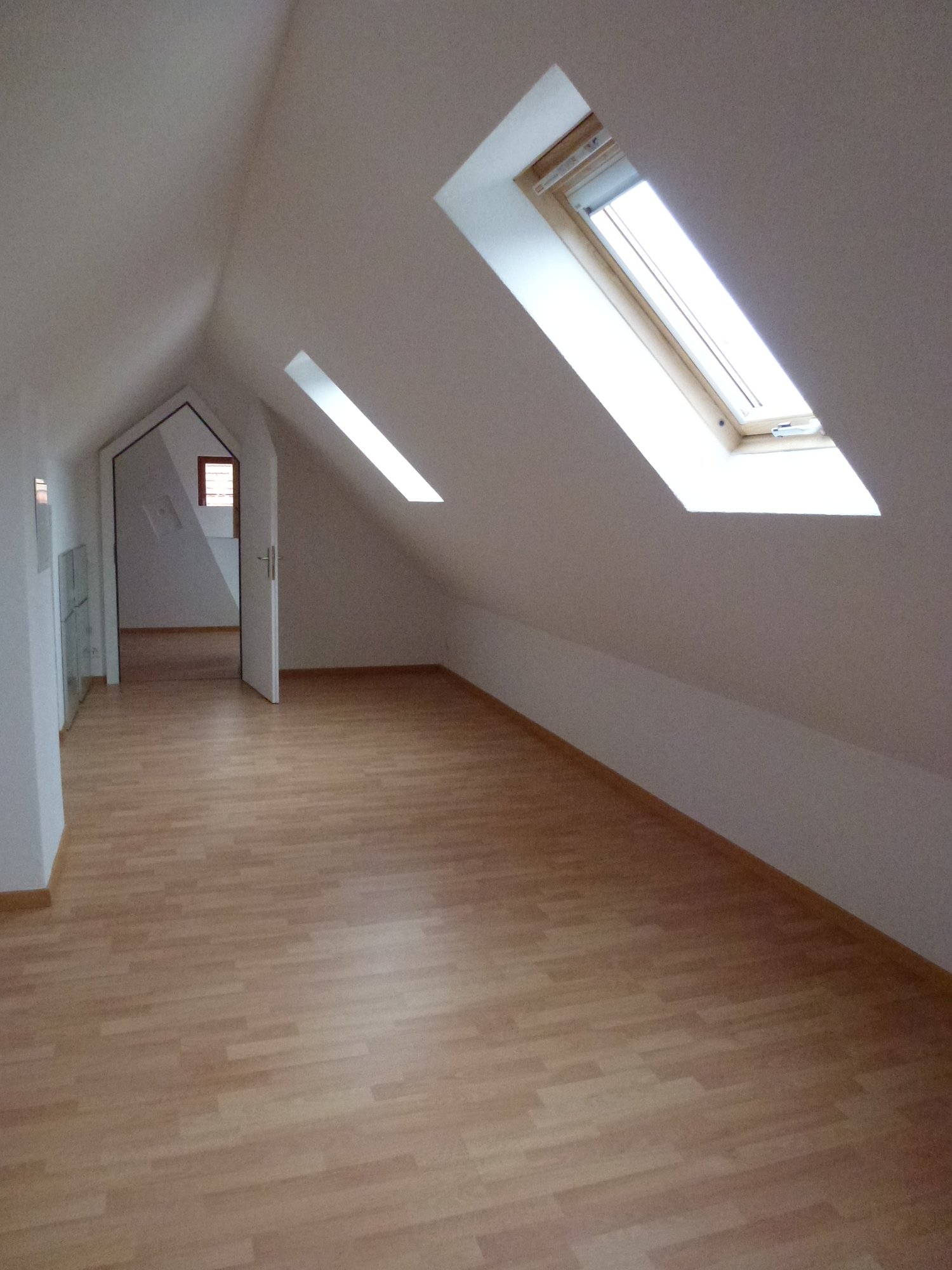 4 ½ rooms duplex