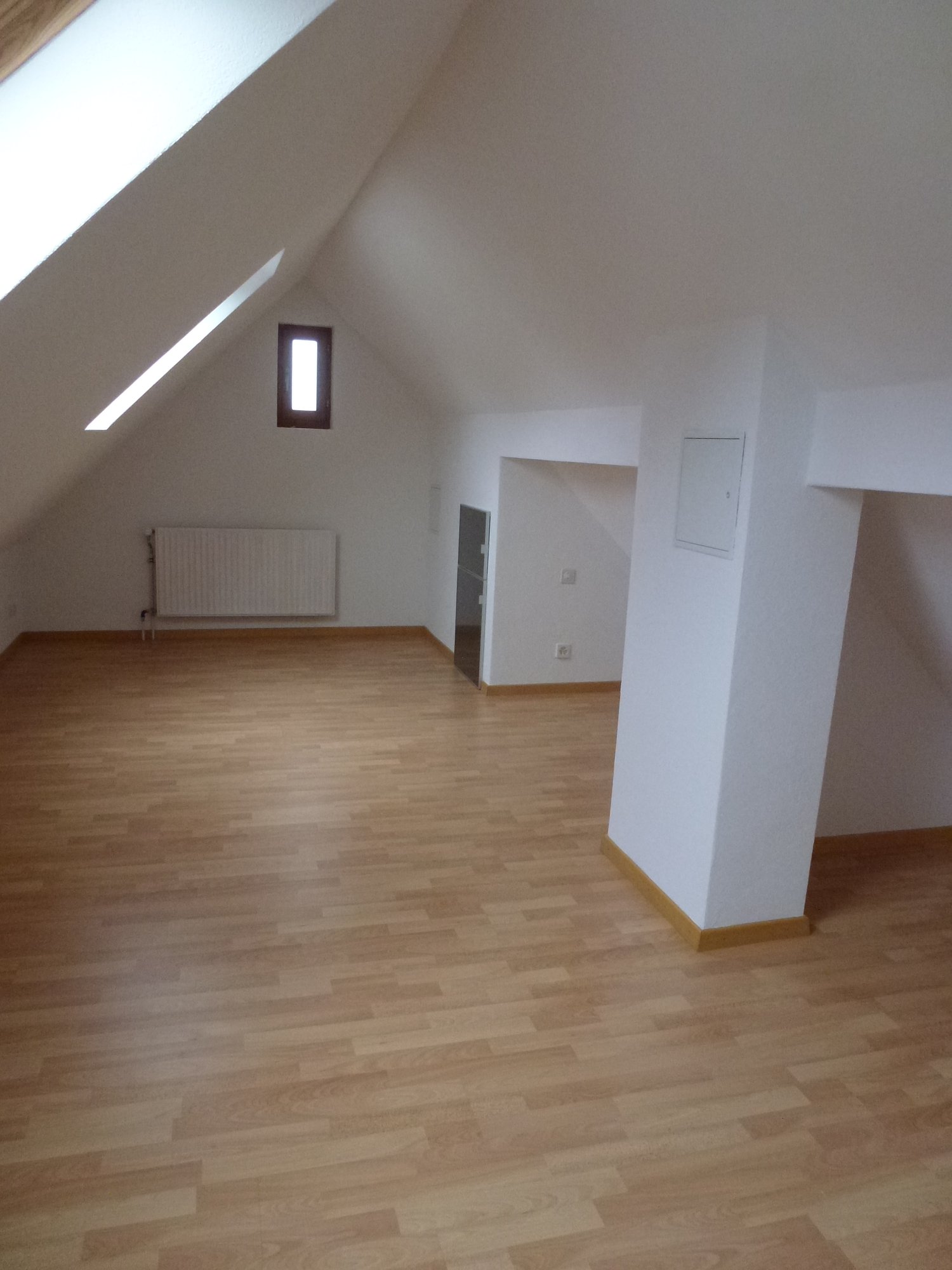 4 ½ rooms duplex