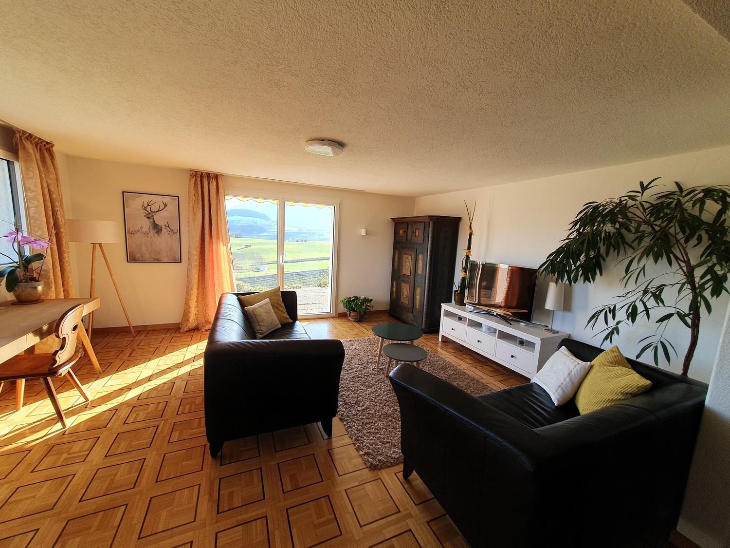 2 ½ rooms apartment
