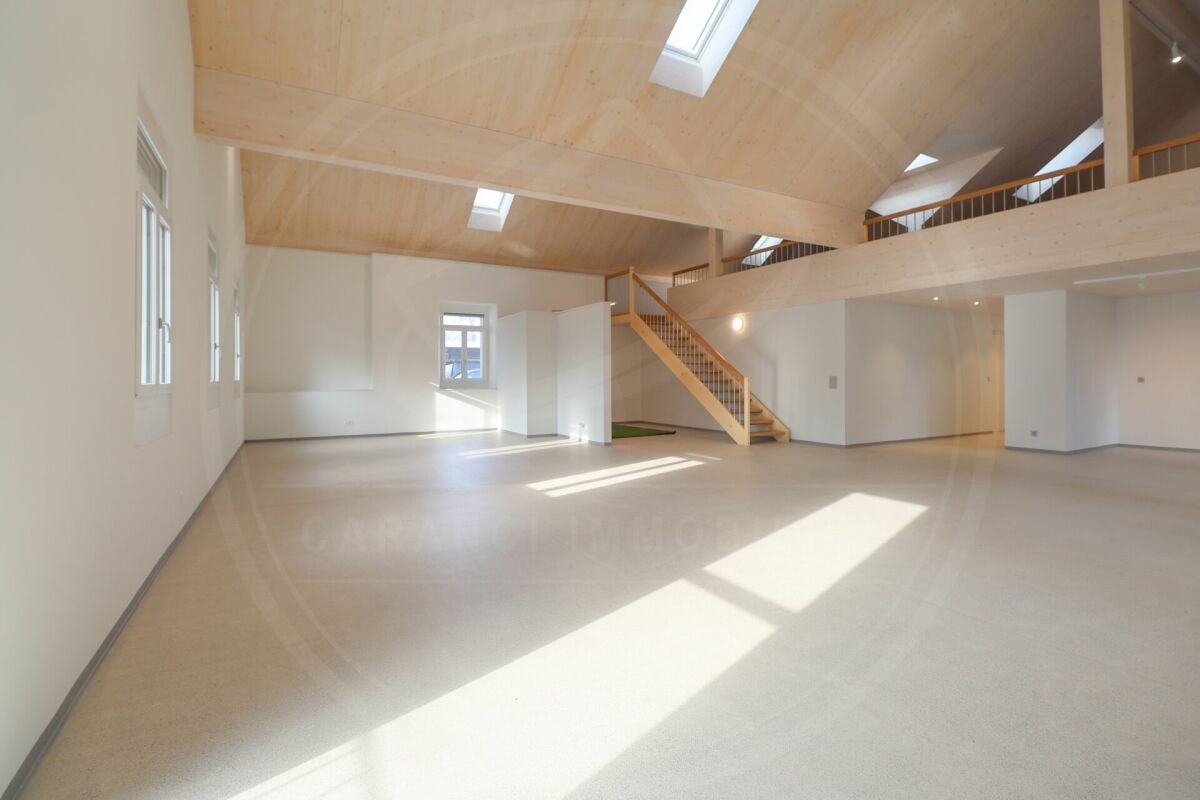 229m² ufficio