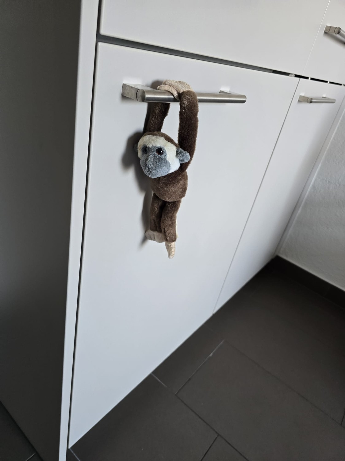Chambre en colocation