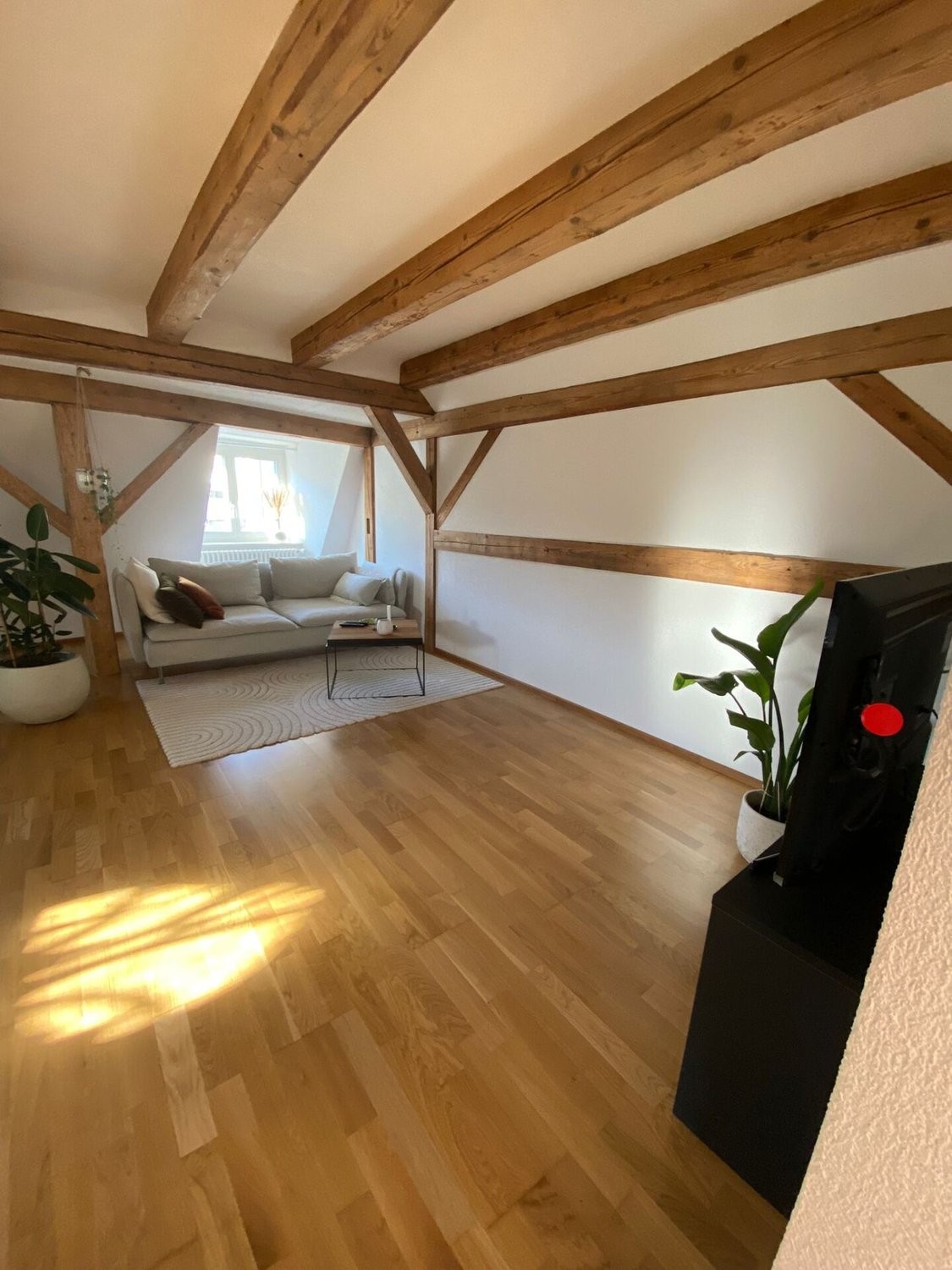 2 locali duplex
