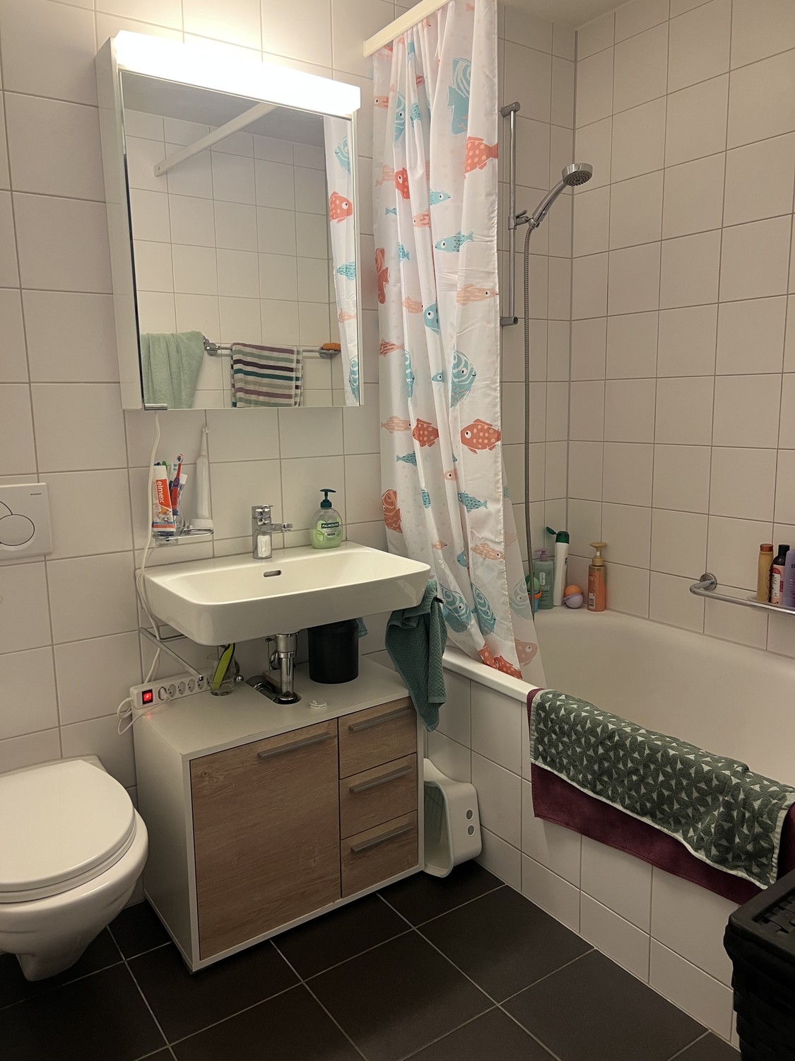 Appartamento di 4 ½ locali