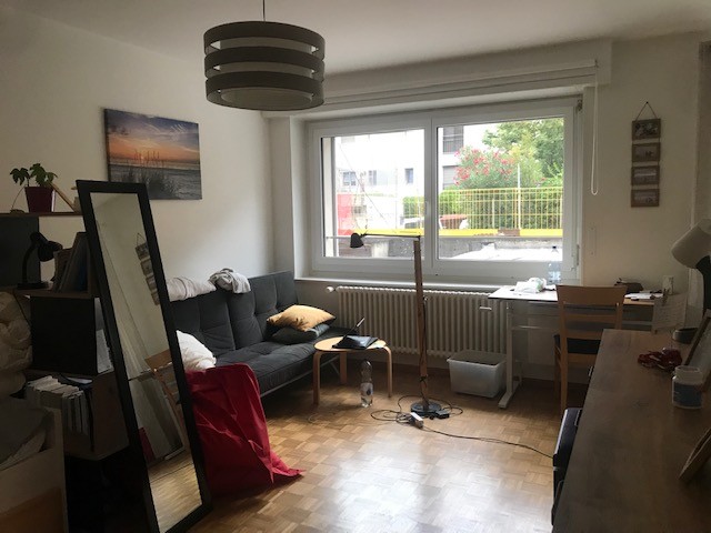 Appartement d'une pièce