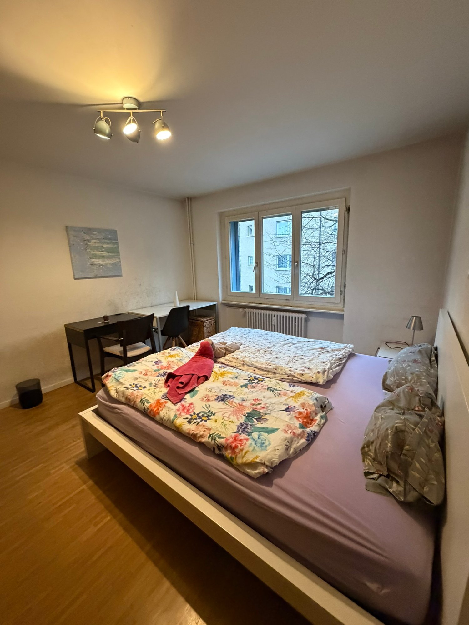 2 ½ Zimmer Wohnung