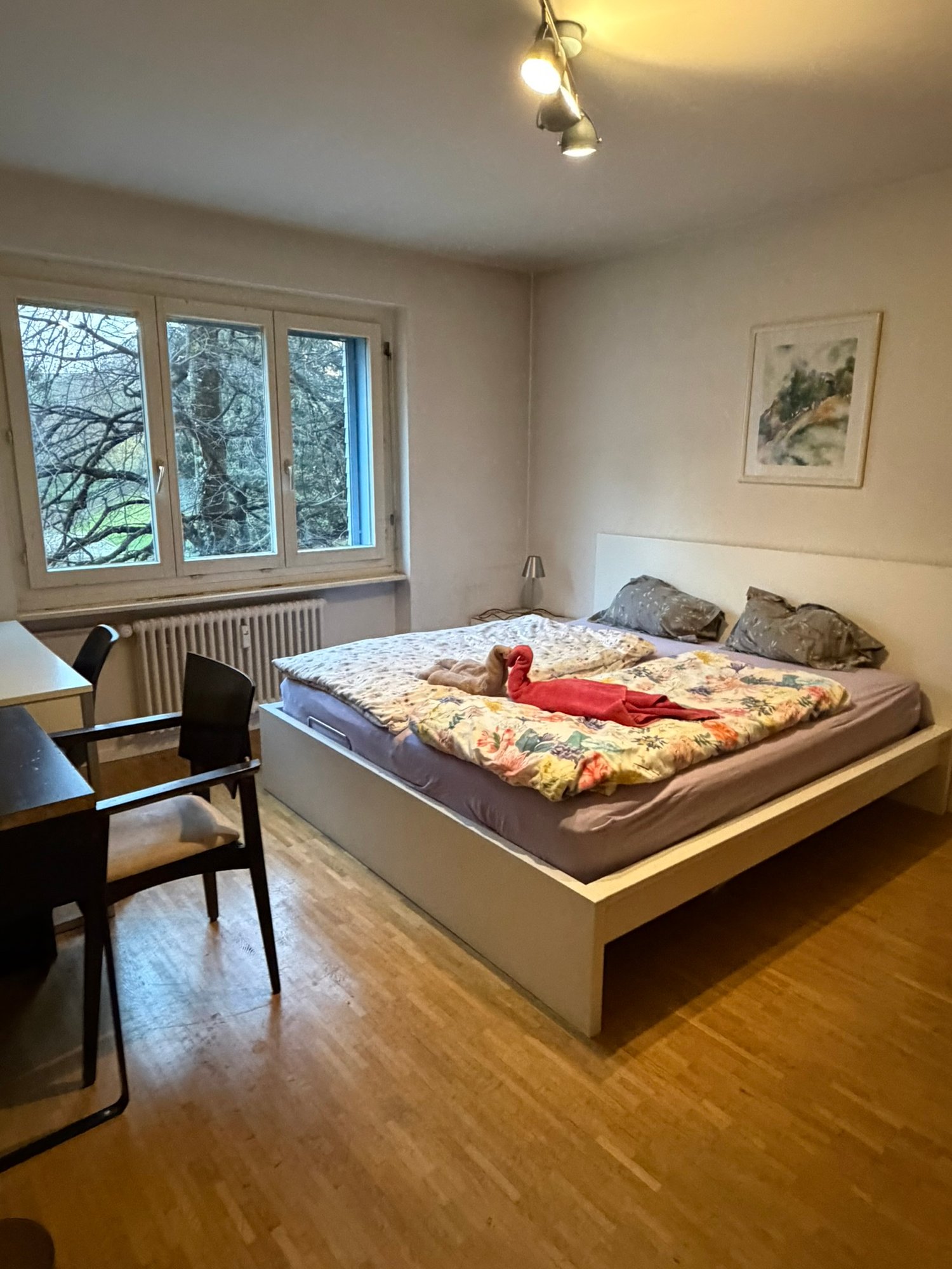 2 ½ Zimmer Wohnung