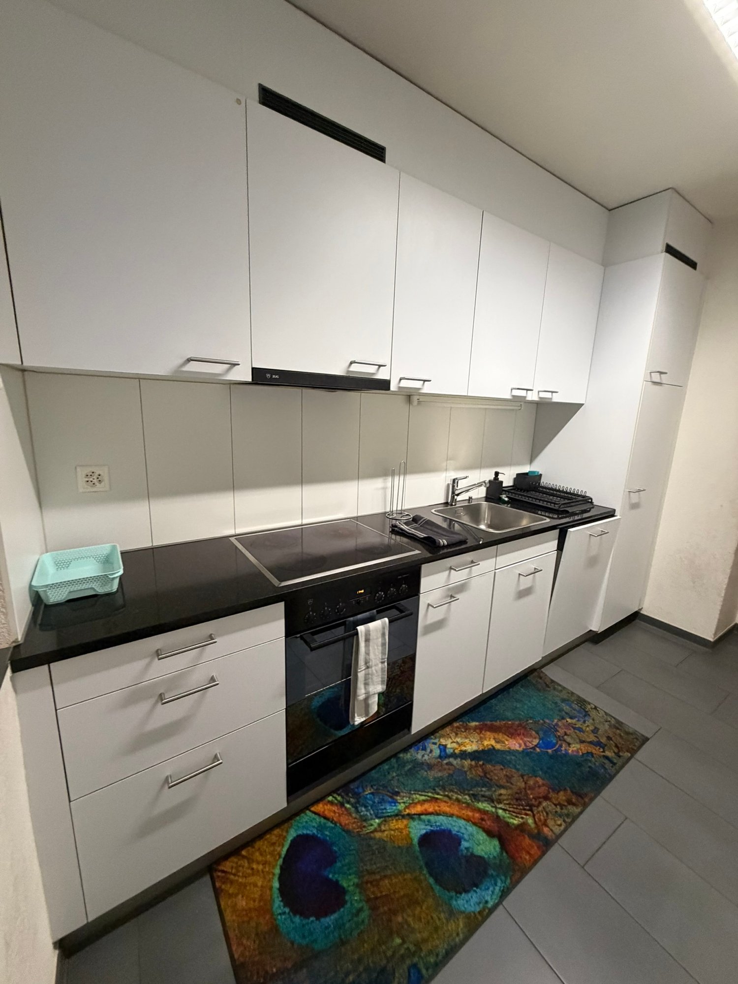 2 ½ Zimmer Wohnung