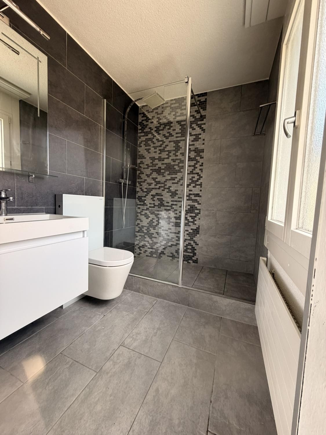 Appartement de 1 ½ pièces