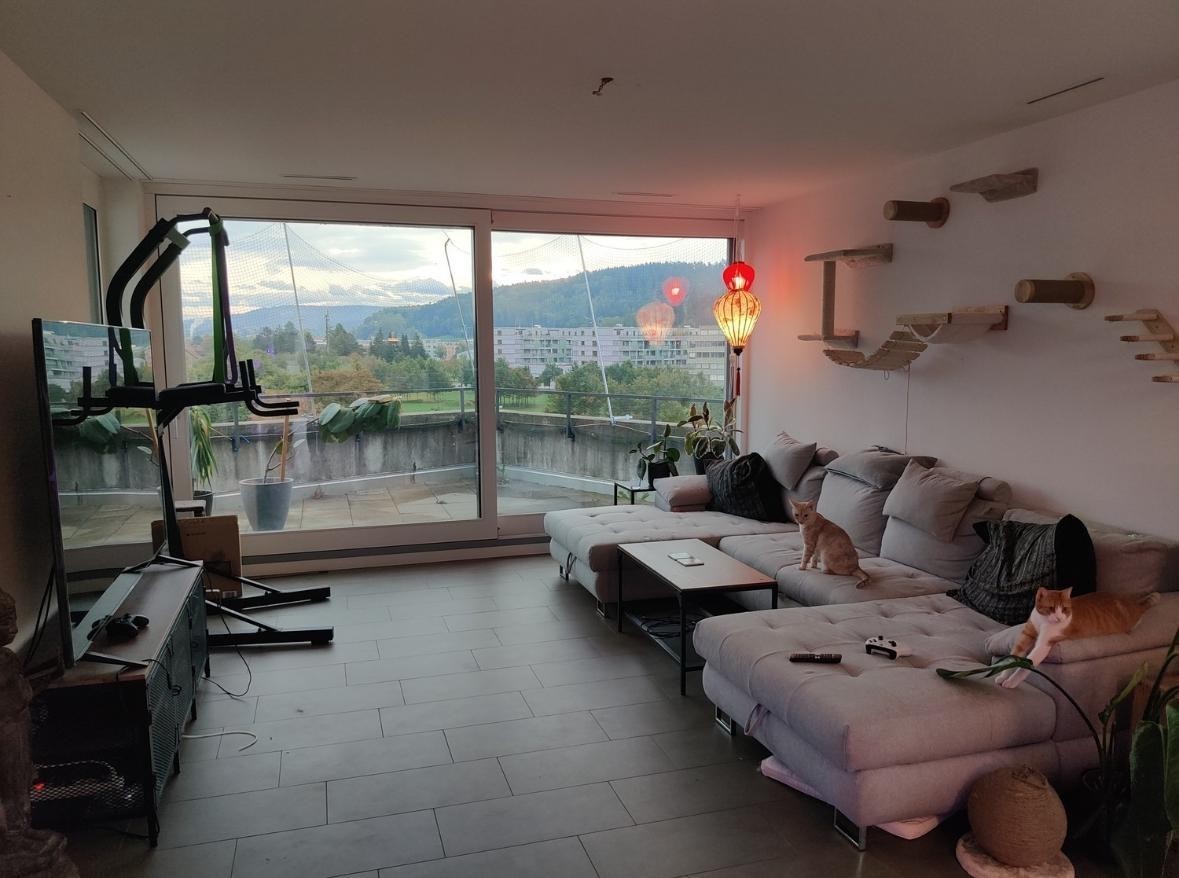 Room in a shared flat