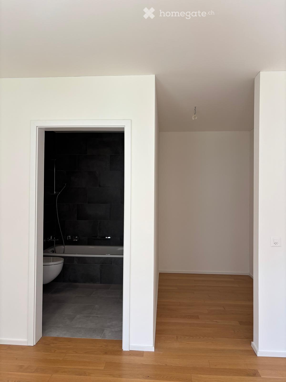3 ½ Zimmer Wohnung
