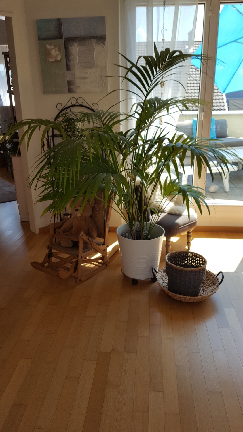 Room in a shared flat
