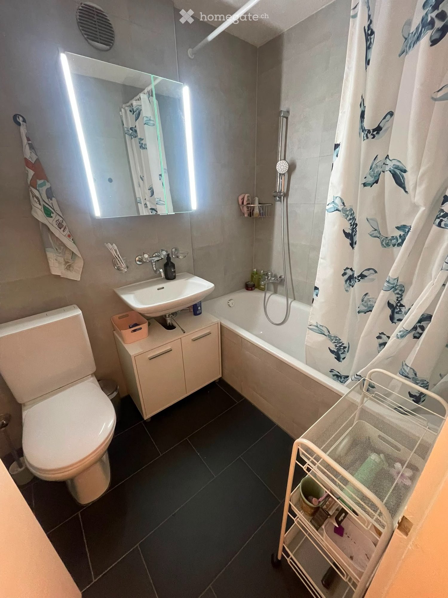 3 ½ rooms apartment