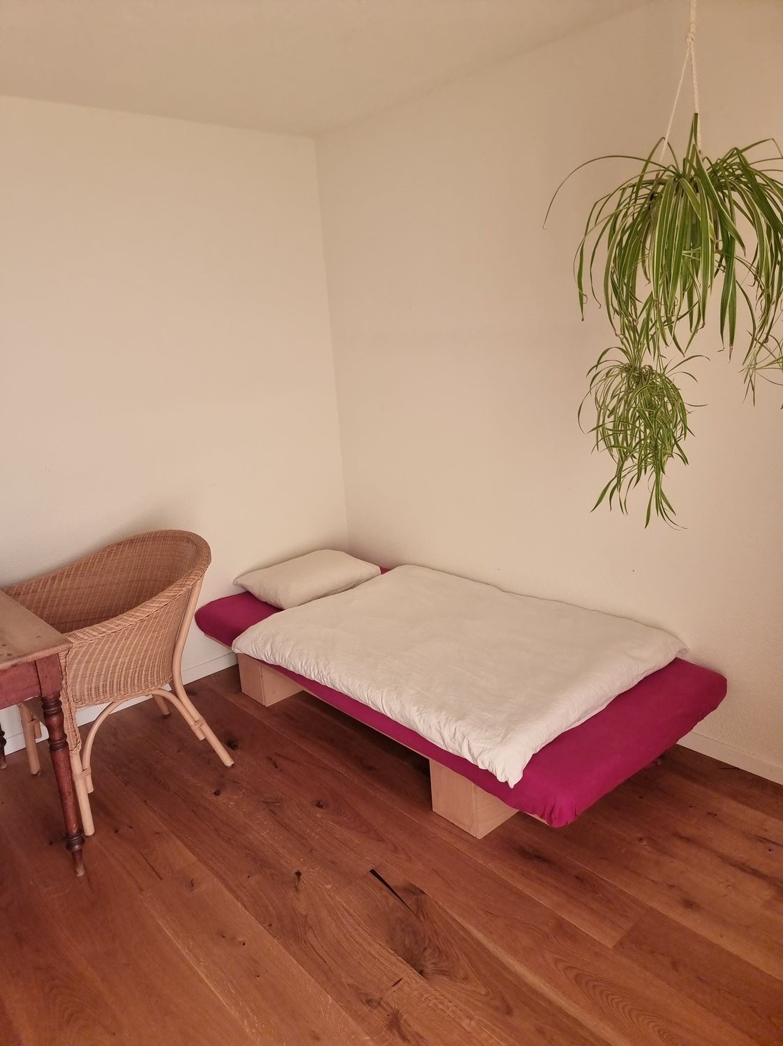 5 ½ rooms furnished flat