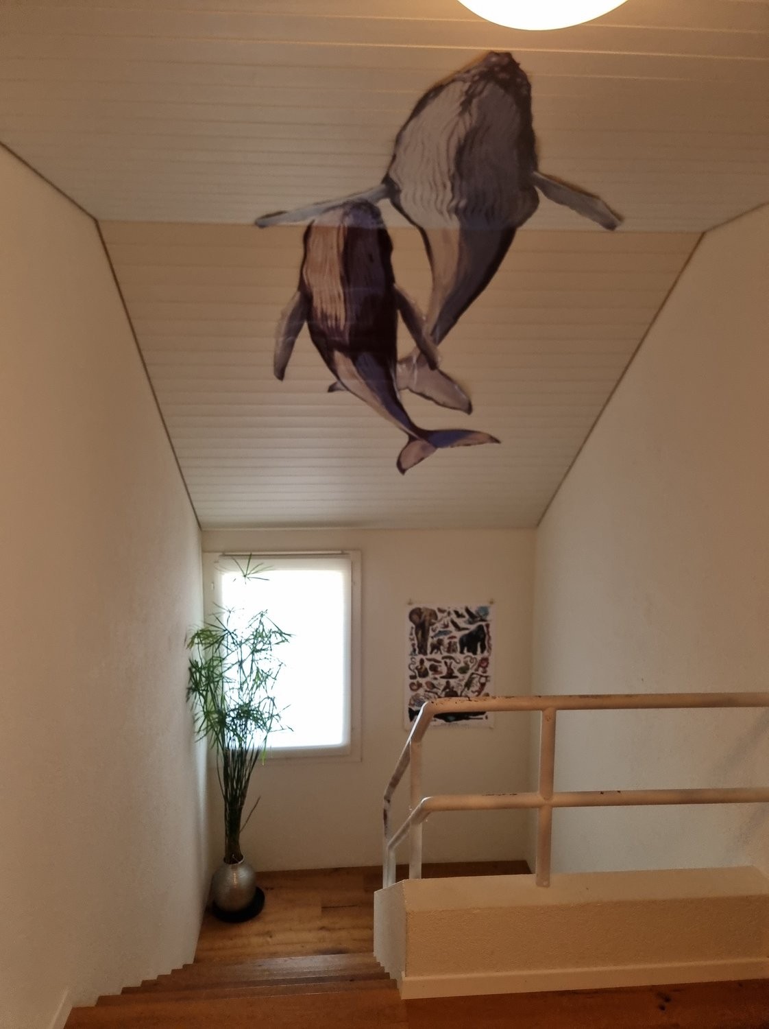 5 ½ rooms furnished flat