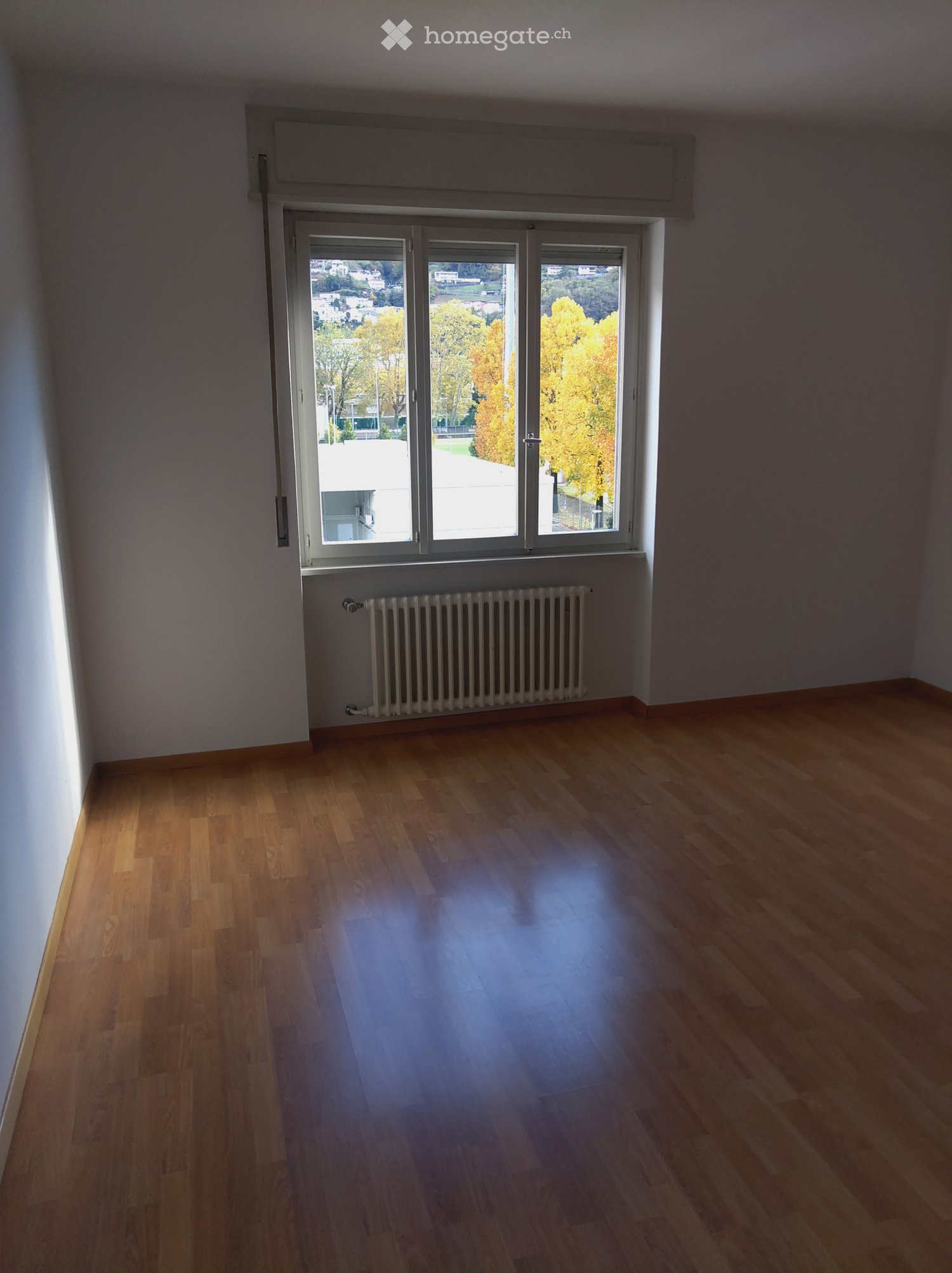 4 ½ Zimmer Wohnung