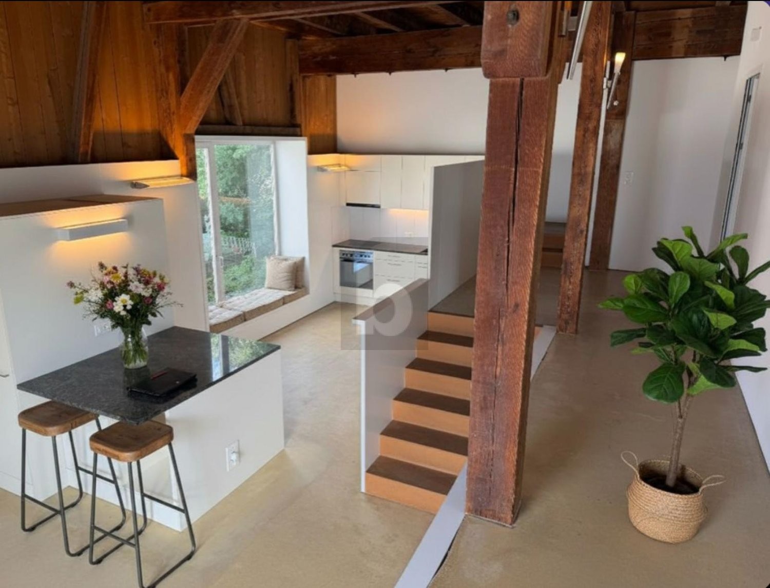 3 ½ rooms duplex
