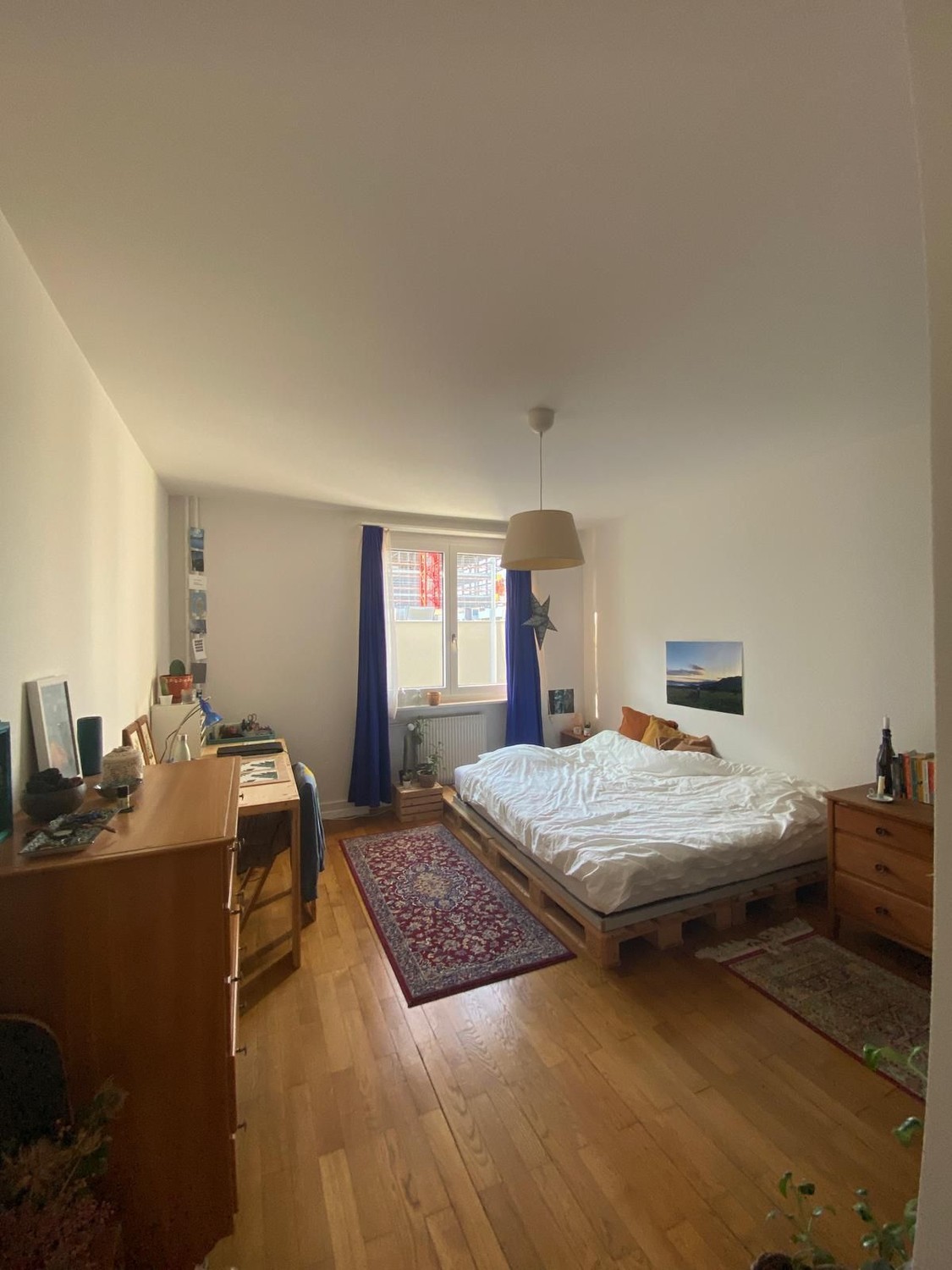 Room in a shared flat