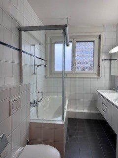 3 ½ Zimmer-Wohnung
