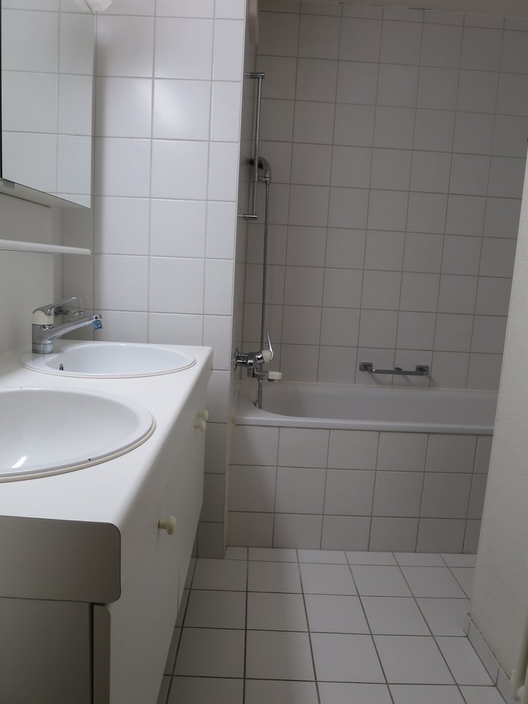 Appartement de 3 ½ pièces