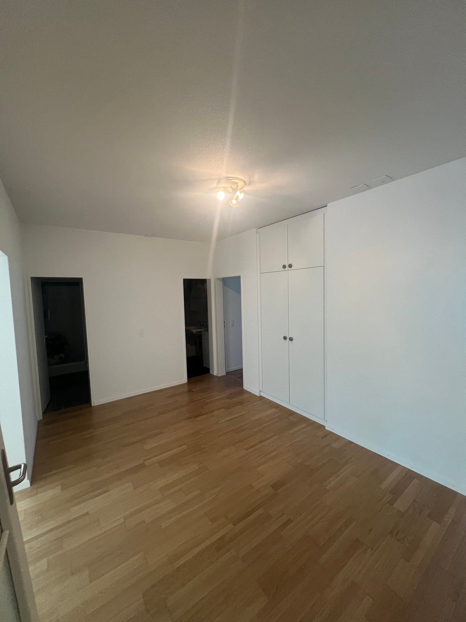 appartamento con terrazza di 3 ½ locali