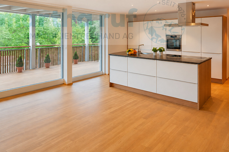 4 ½ rooms apartment