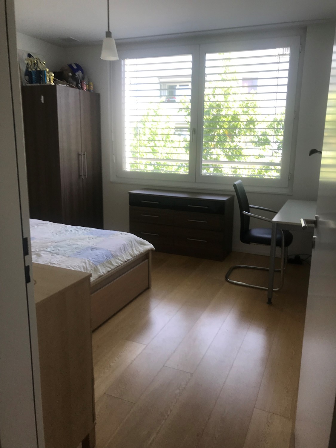 Room in a shared flat