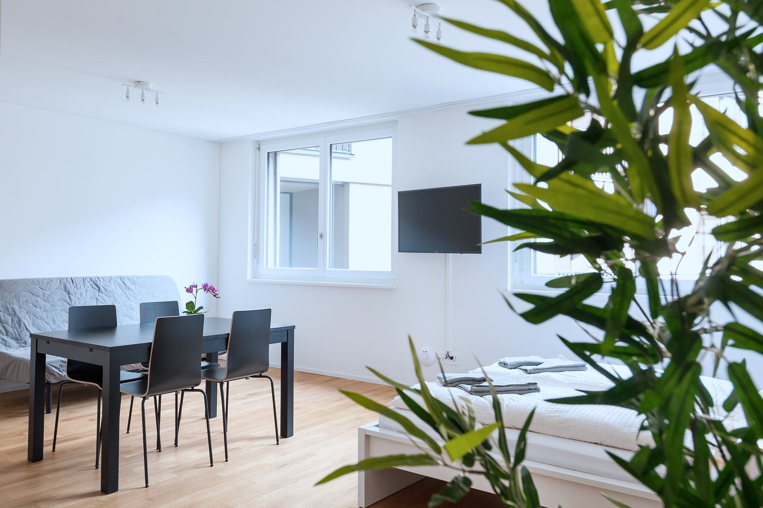 1 ½ rooms furnished flat