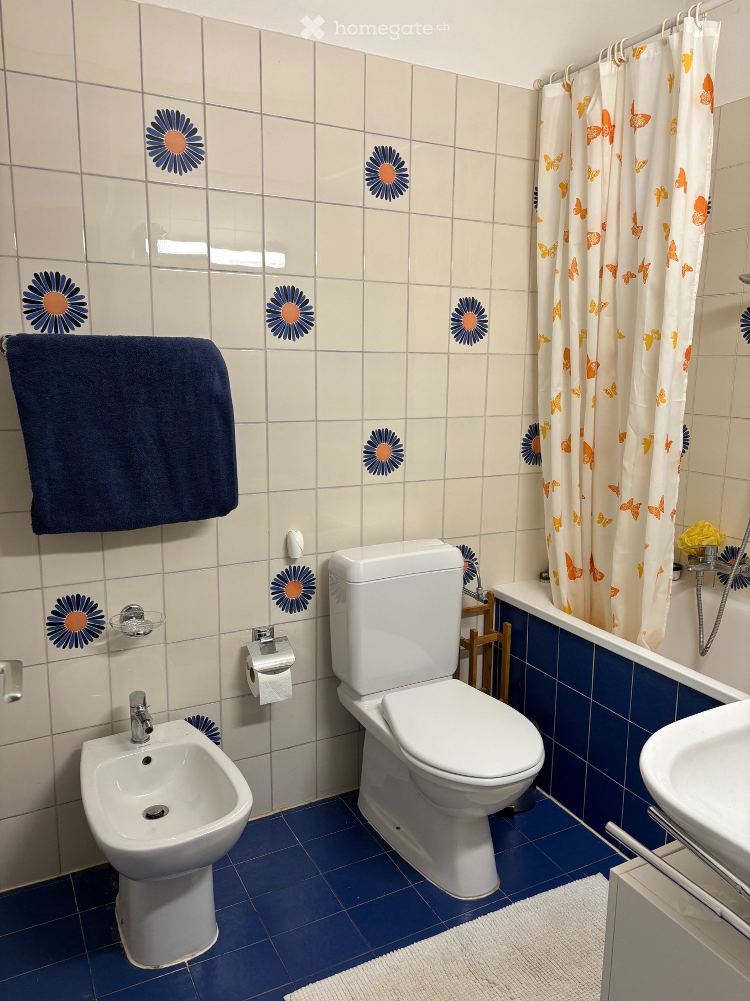 3 ½ Zimmer Wohnung