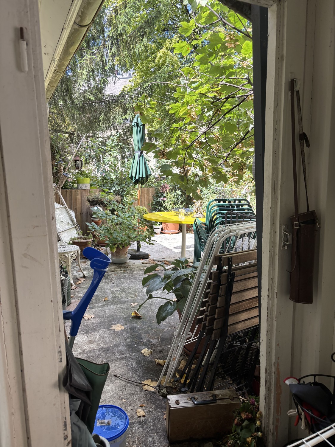 Room in a shared flat