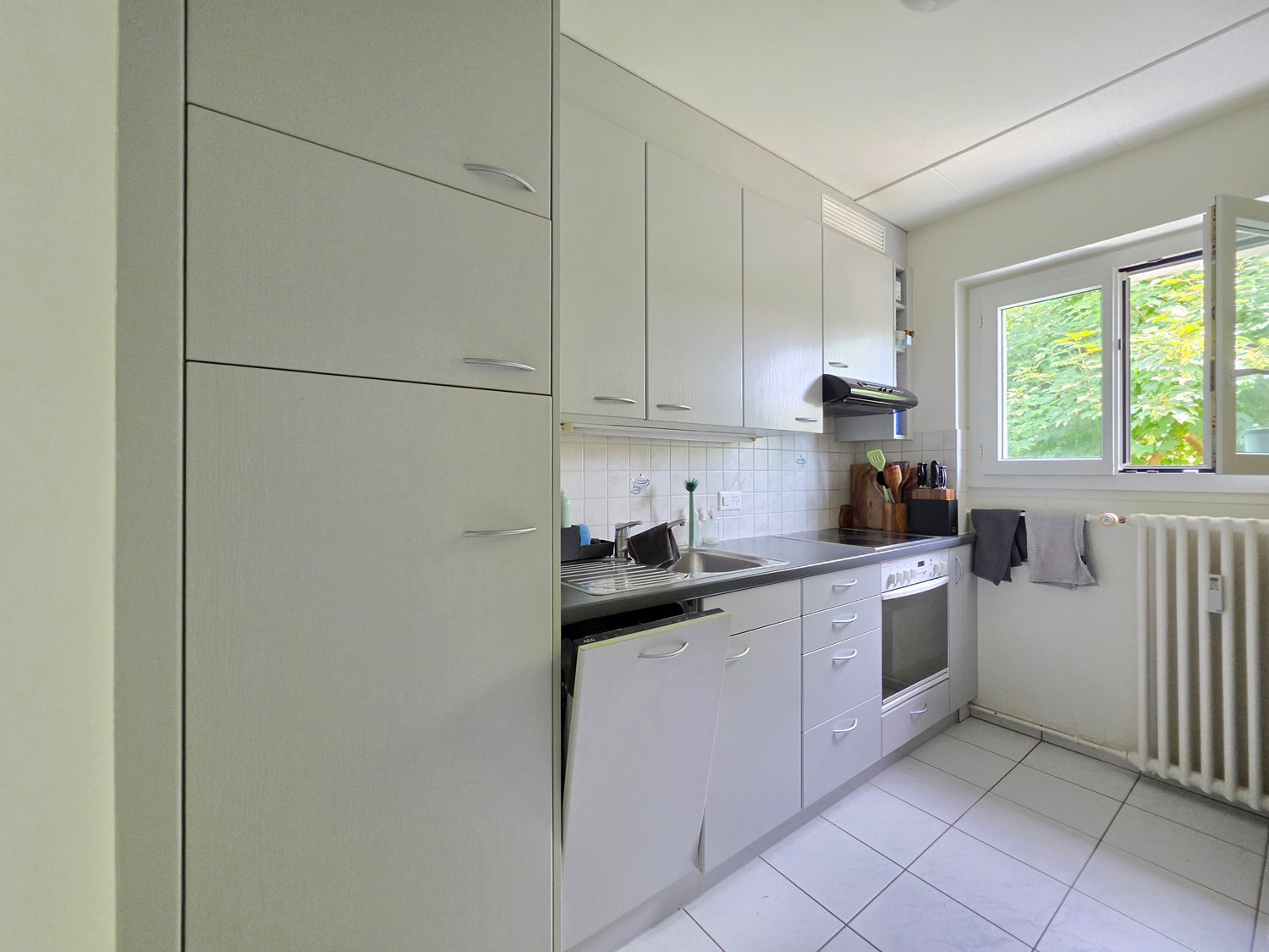 Appartement de 3 ½ pièces