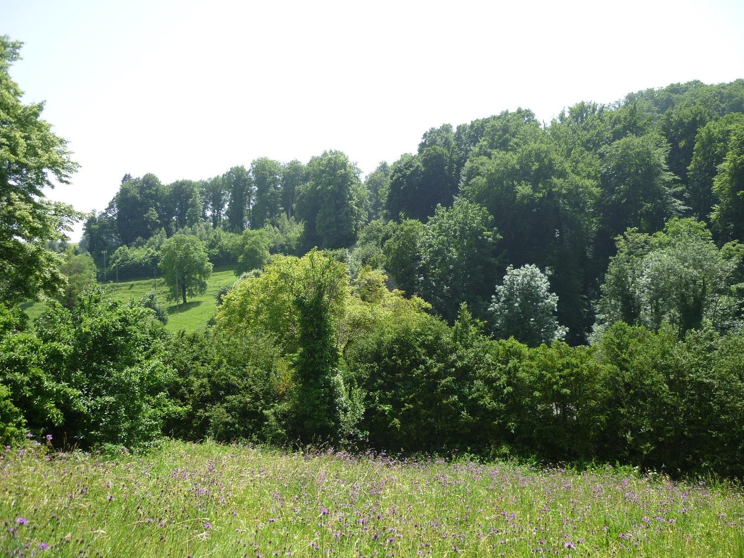 Appartamento di 2 ½ locali