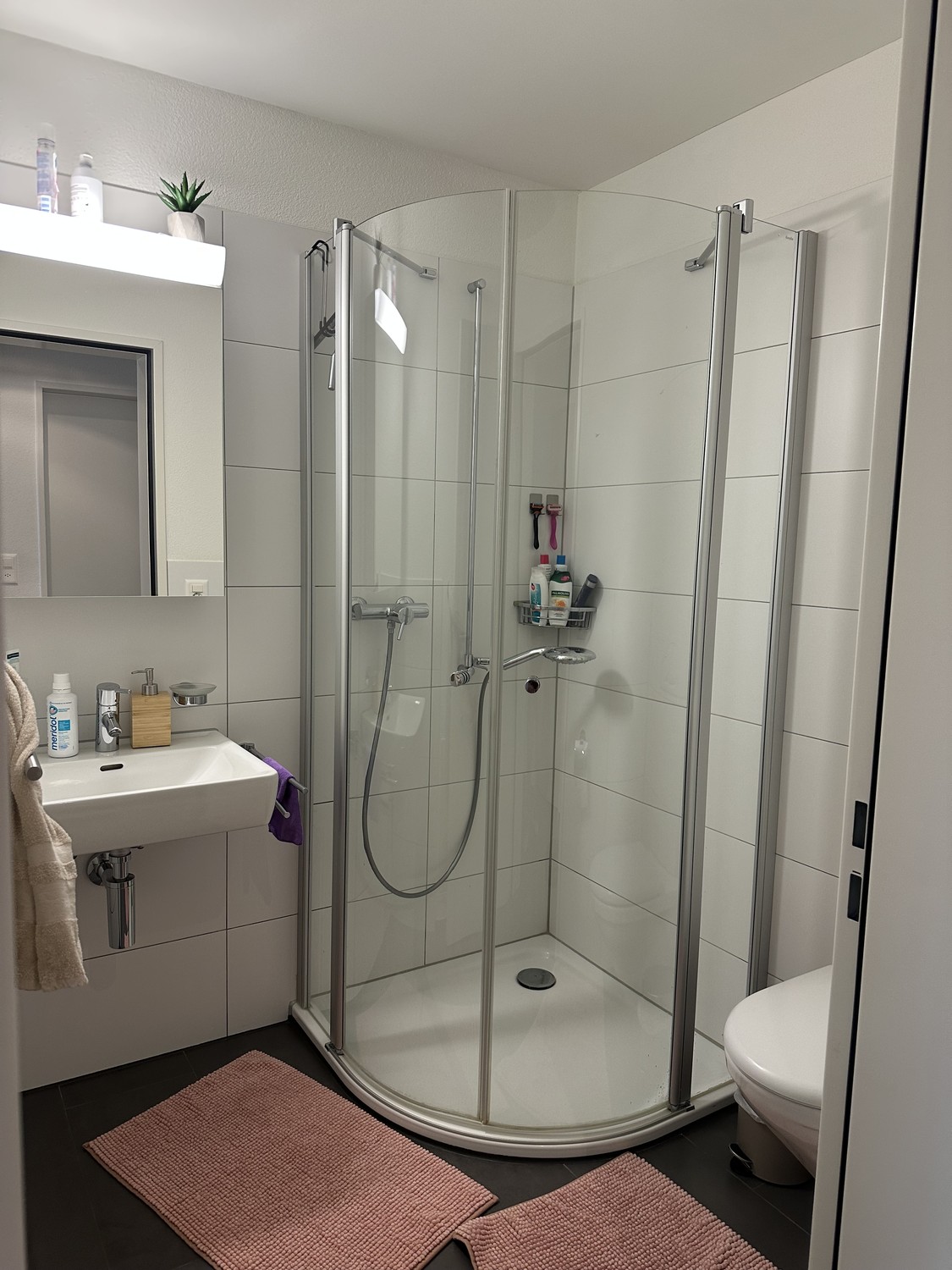 Appartement de 4 ½ pièces