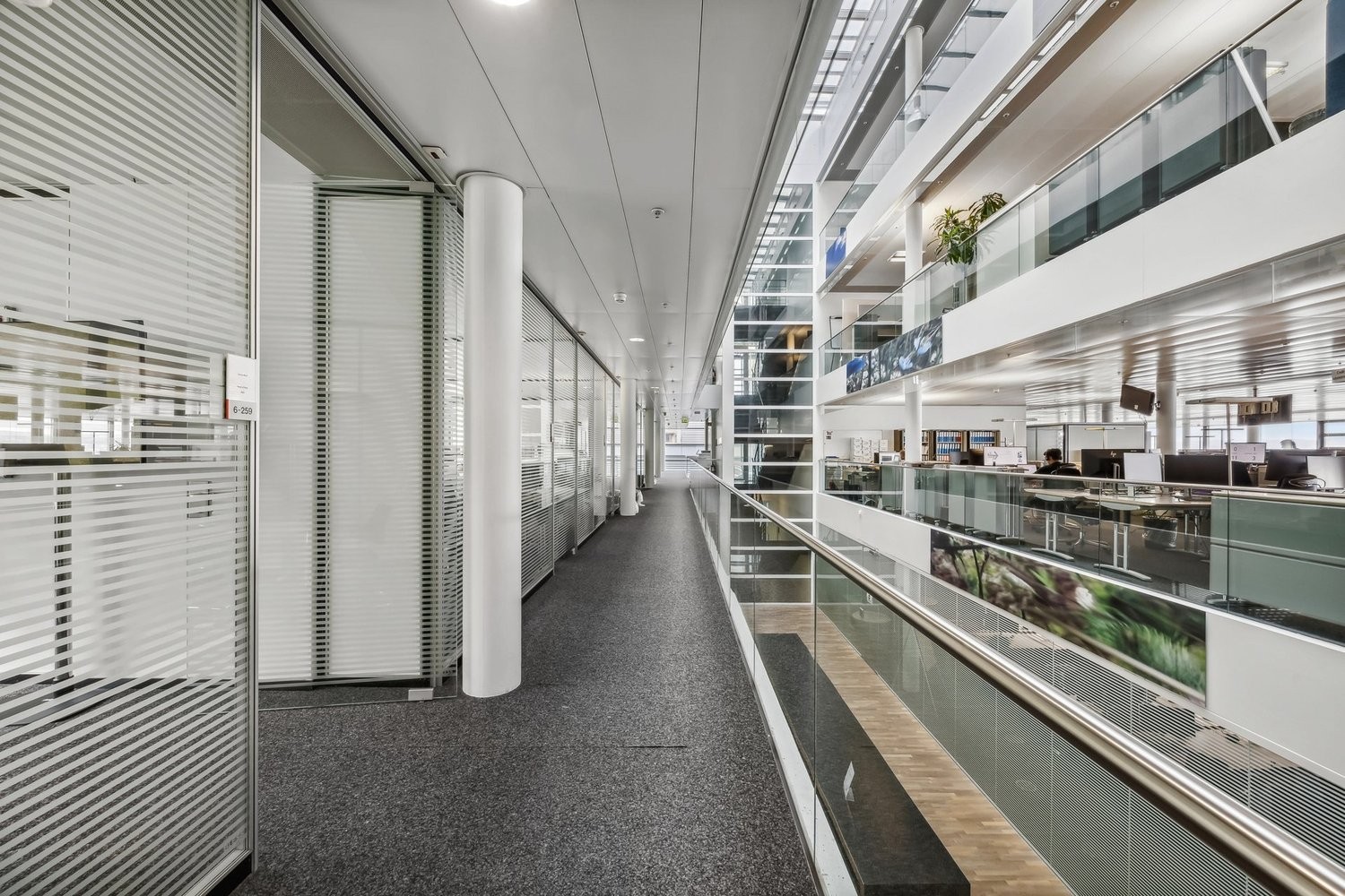 1000m² commercial