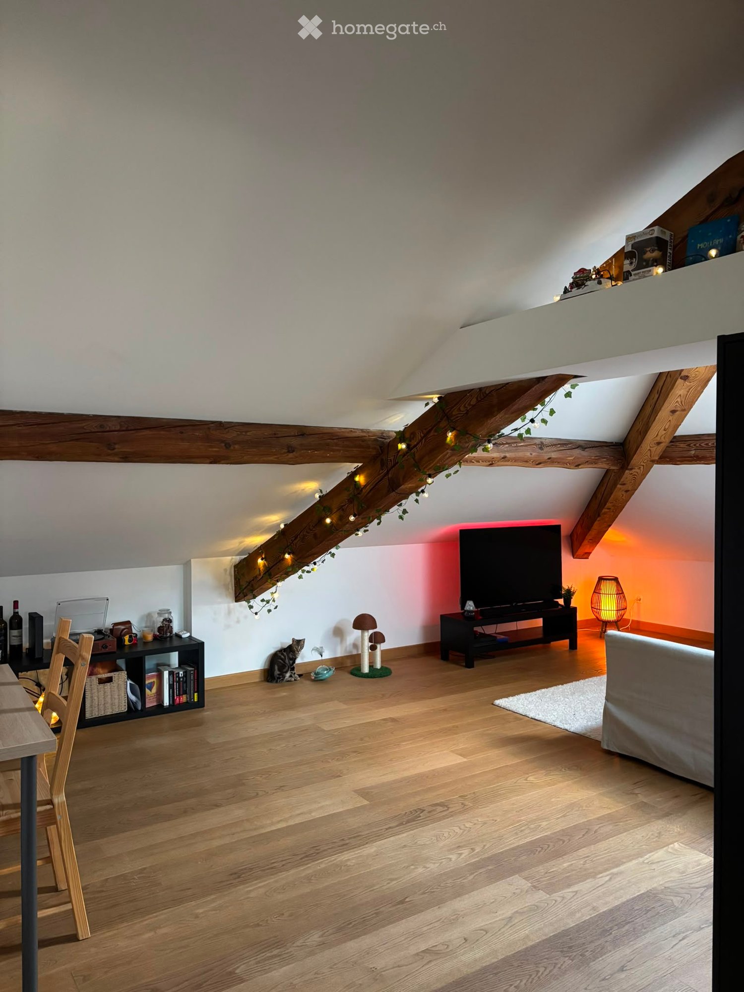 2-Zimmer-Wohnung