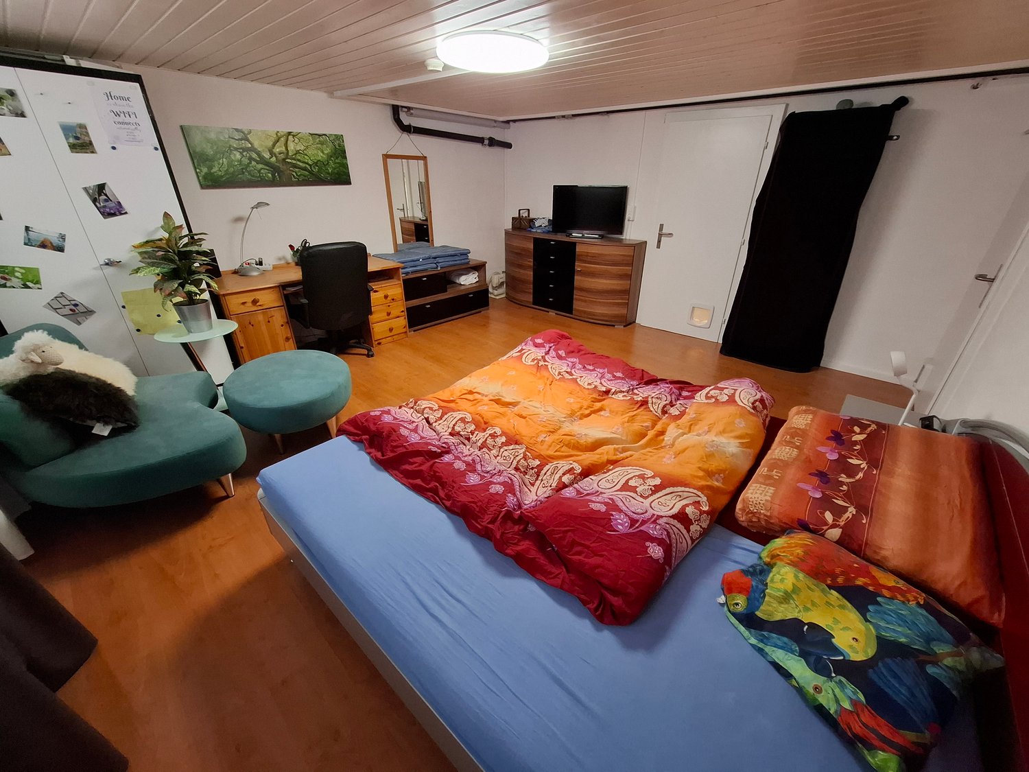 Room in a shared flat