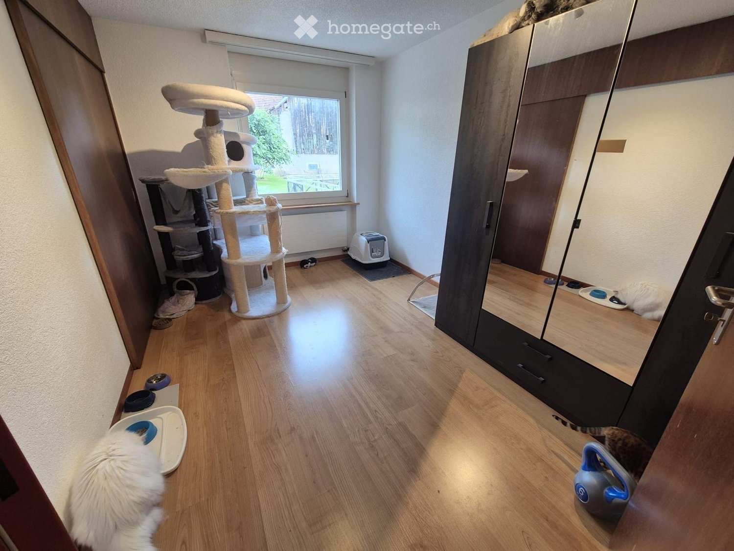 4 ½ Zimmer Wohnung