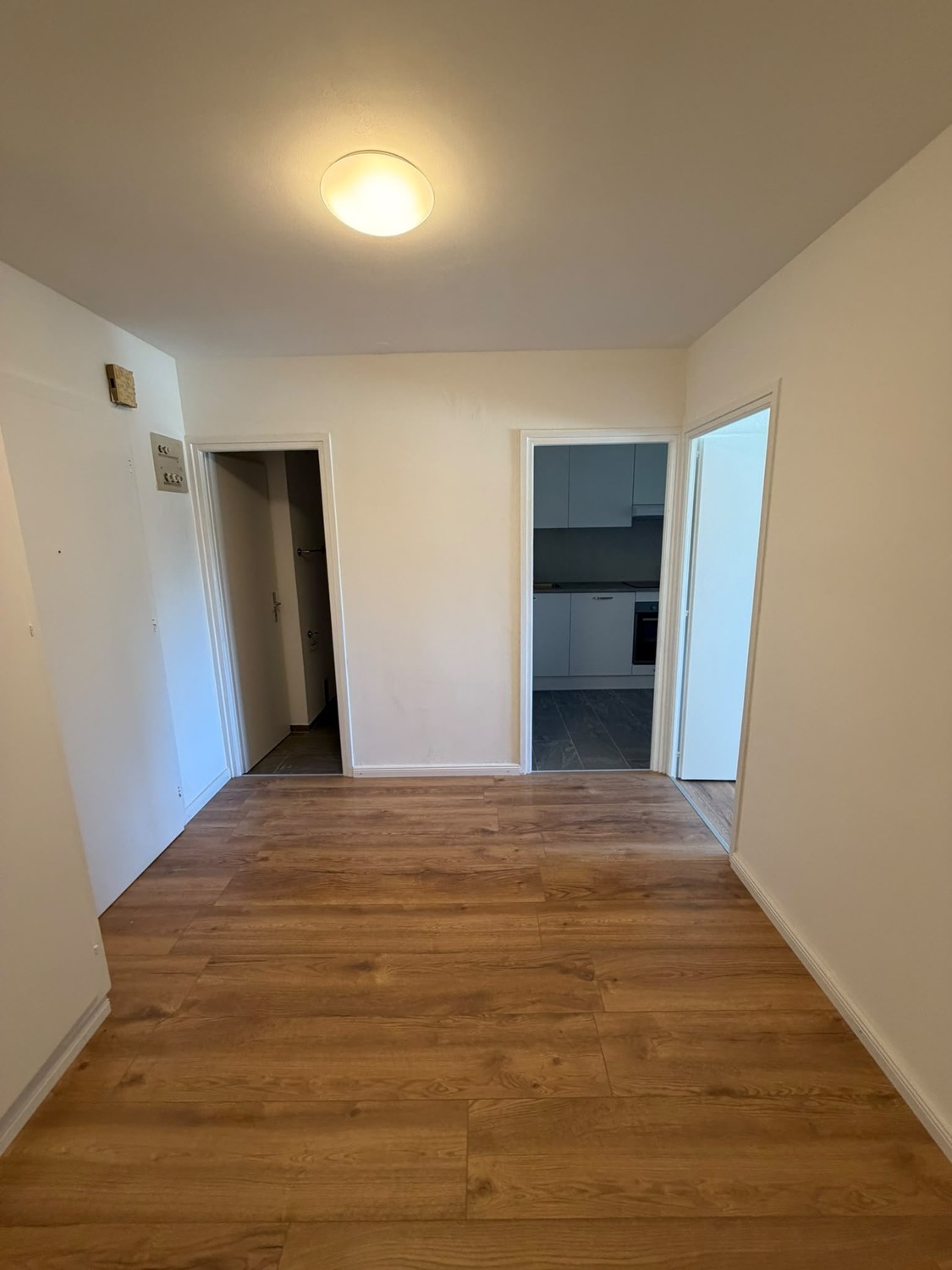 3 ½ Zimmer Wohnung