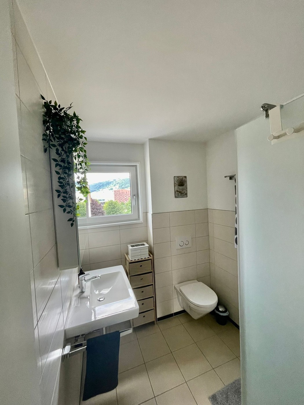 Room in a shared flat